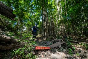 BIB: 
                            <button type="button" onclick="openModal(19394212)" class="btn btn-primary btn-sm float-right btn-popup" data-toggle="modal" data-target=".modal-high-quality">
                        <i class="fas fa-shopping-cart"></i> Add to Cart
                    </button>
                                            <button type="button" onclick="isThisMe(19394212, true)" class="btn btn-success btn-sm float-right btn-popup btn-isme hidden" data-toggle="tooltip" data-placement="bottom" title="นี่คือรูปของคุณใช่ไหม คลิกที่นี่เพื่อเอาเข้าอัลบั้ม">
                        <i class="fas fa-plus"></i> Add to album
                    </button>
                    <button type="button" onclick="isThisMe(19394212, false)" class="btn btn-warning btn-sm float-right btn-popup btn-isnotme hidden">
                        <i class="fas fa-ban"></i> Remove from album
                    </button>